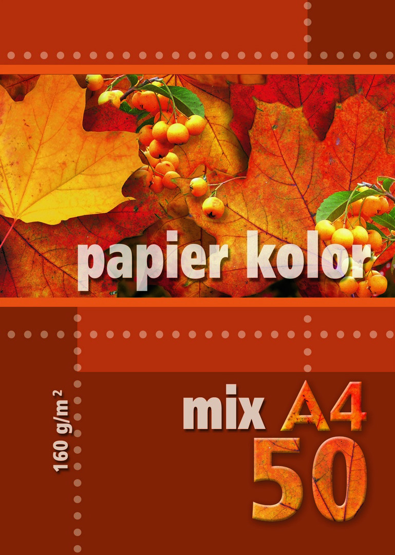 Papier ksero A4 160g 50ark. mix 5 kolorów intensywnych